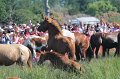 ponypenning12-175