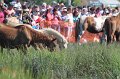 ponypenning12-179