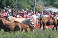 ponypenning12-182