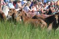 ponypenning12-183