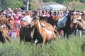 ponypenning12-189
