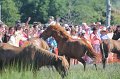 ponypenning12-191