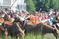 ponypenning12-193