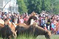 ponypenning12-194