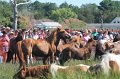 ponypenning12-198