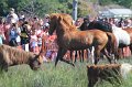 ponypenning12-199