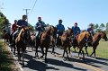 ponypenning12-214