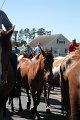 ponypenning12-216