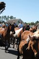 ponypenning12-218