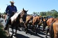 ponypenning12-221