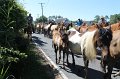 ponypenning12-222