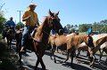ponypenning12-227
