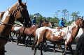 ponypenning12-230