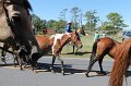 ponypenning12-233