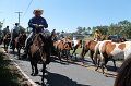 ponypenning12-234