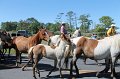 ponypenning12-237