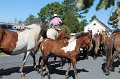 ponypenning12-243
