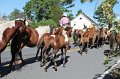 ponypenning12-244