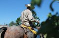 ponypenning12-245