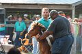 ponypenning12-262