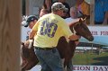 ponypenning12-327