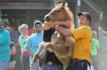 ponypenning12-338