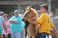 ponypenning12-339