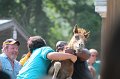 ponypenning12-348