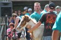 ponypenning12-355