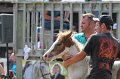 ponypenning12-358