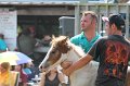 ponypenning12-359