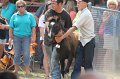 ponypenning12-405