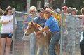 ponypenning12-415