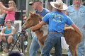 ponypenning12-418