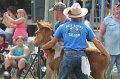 ponypenning12-419