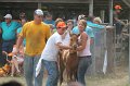 ponypenning12-438