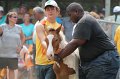 ponypenning12-446
