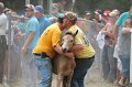 ponypenning12-448