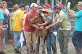 ponypenning12-467