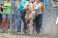 ponypenning12-472