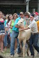 ponypenning12-473