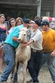 ponypenning12-475