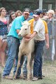 ponypenning12-478
