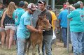 ponypenning12-488