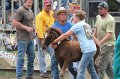 ponypenning12-492