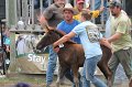 ponypenning12-493