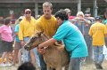 ponypenning12-498