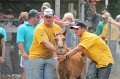 ponypenning12-501
