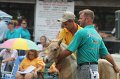 ponypenning12-506
