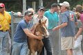 ponypenning12-532